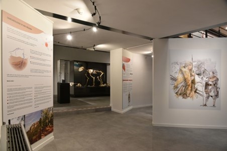 Photo du Musée du Malgré-Tout