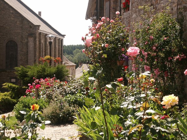 Photo du village Le Mesnil